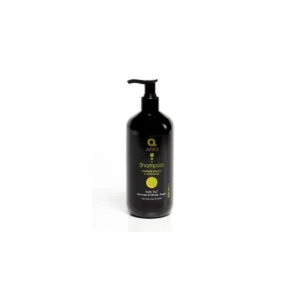 dermo afro champu mango argan 500ml