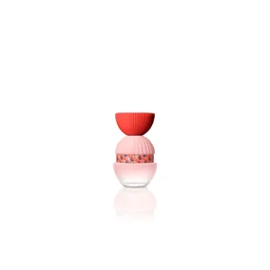 el ganso fun y chic edp 100 spray